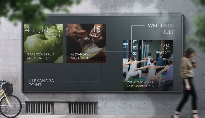 申扎县画册设计公司如何进行品牌审核