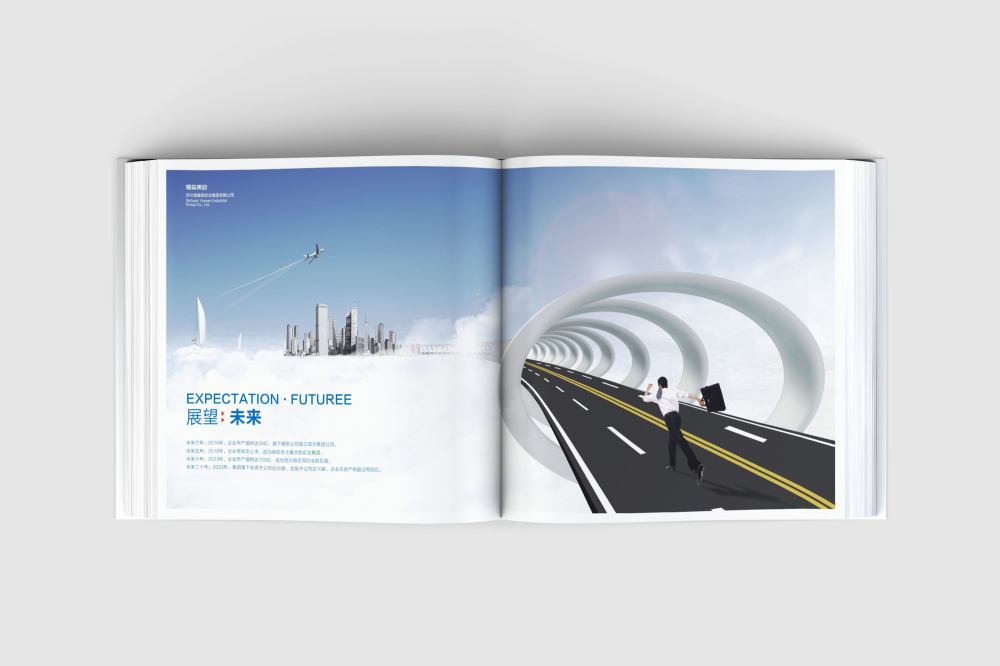 申扎县画册设计